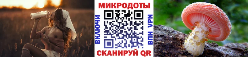 Псилоцибиновые грибы мицелий  Евпатория 
